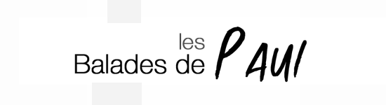 Logo de l'article Histoire